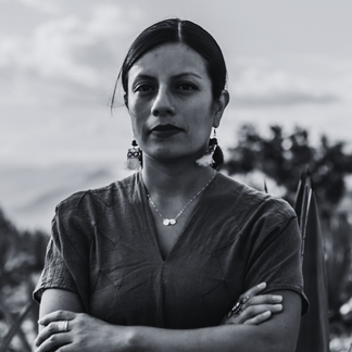 Fabiola Santiago
